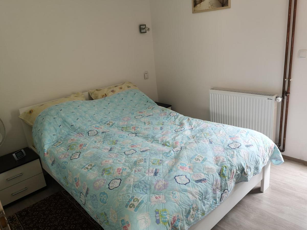 Apartmani Zubor Banja Koviljaca Exterior photo