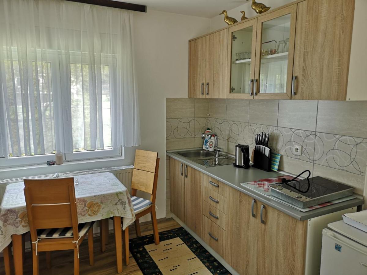 Apartmani Zubor Banja Koviljaca Exterior photo